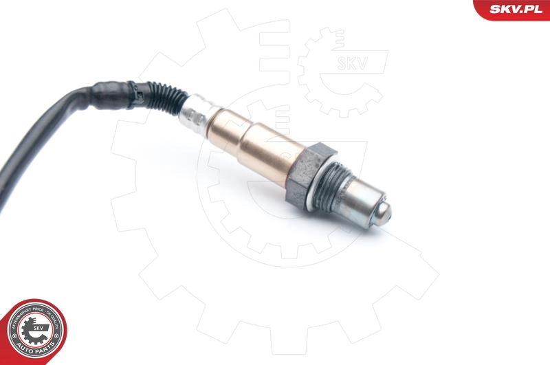 Oxygen Sensor